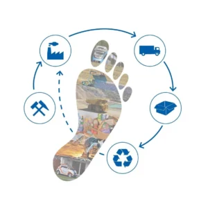 carbon footprint assessment