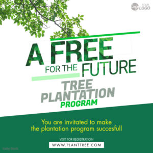 tree plantation program